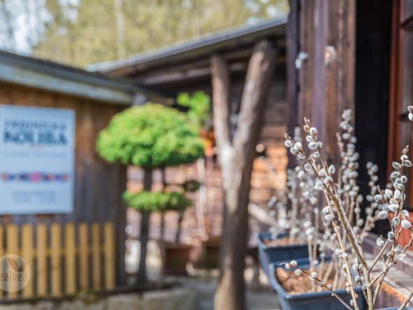 Zbojnícka Koliba - Legenda Tatier na predaj