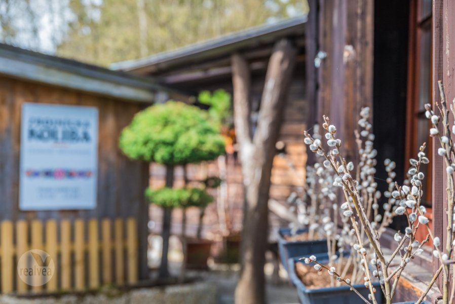 Zbojnícka Koliba - Legenda Tatier na predaj