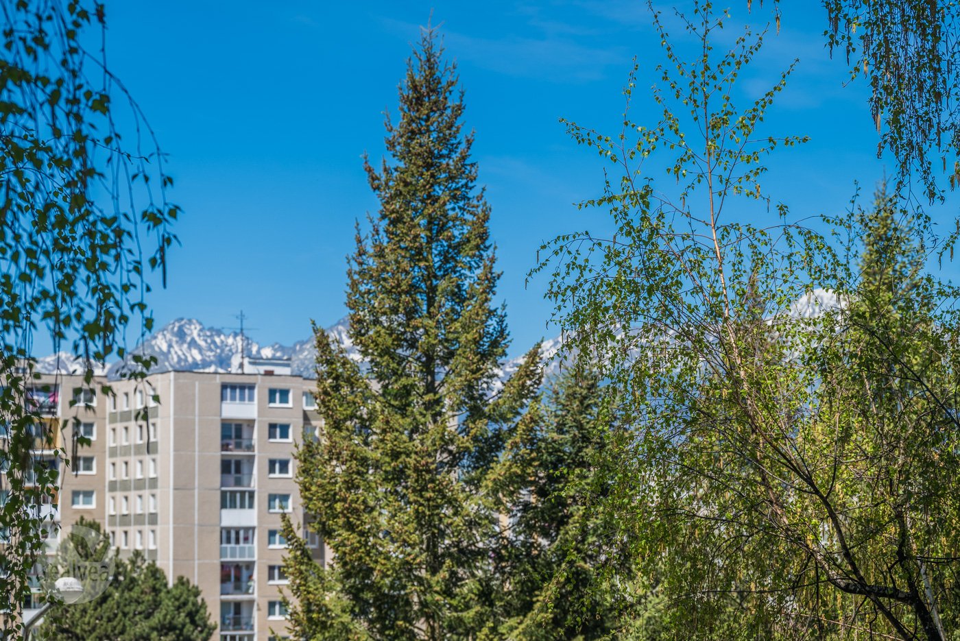 Na predaj 2 izbový byt v pôvodnom stave - Poprad, Nový Juh