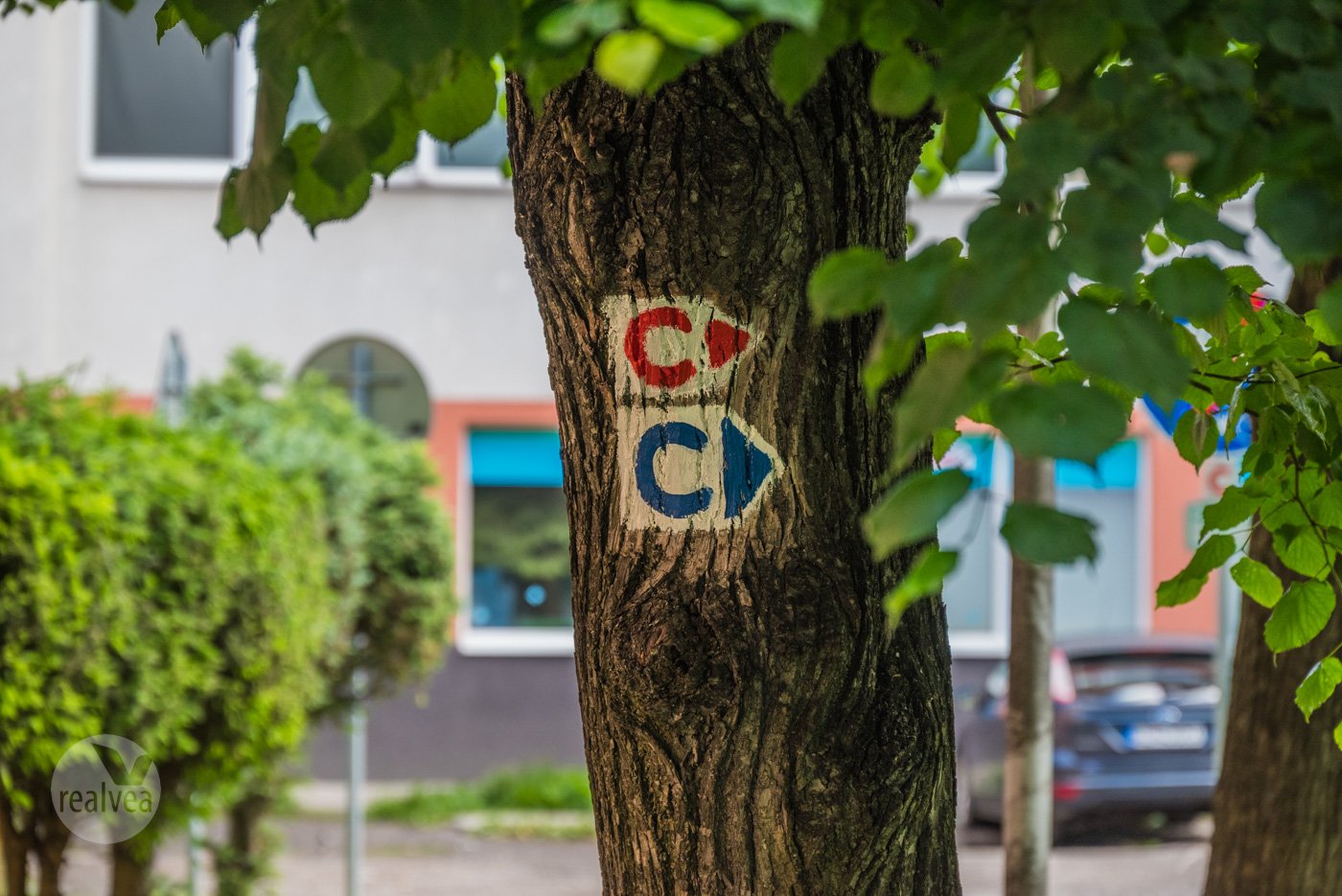Na predaj 3 izbový vkusne prerobený byt pri centre mesta Kežmarok
