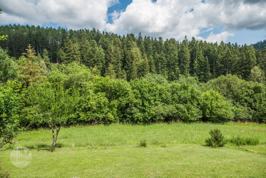 Na predaj rekreačná chatka v lokalite Fedorkin Jarok pri Levoči